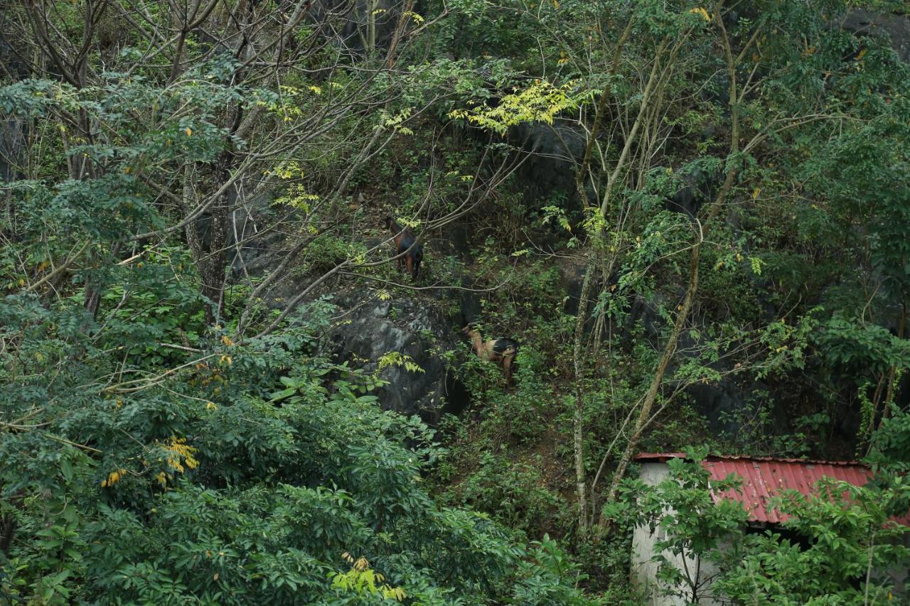 Gold Plus Hotel Phong Nha Bagian luar foto