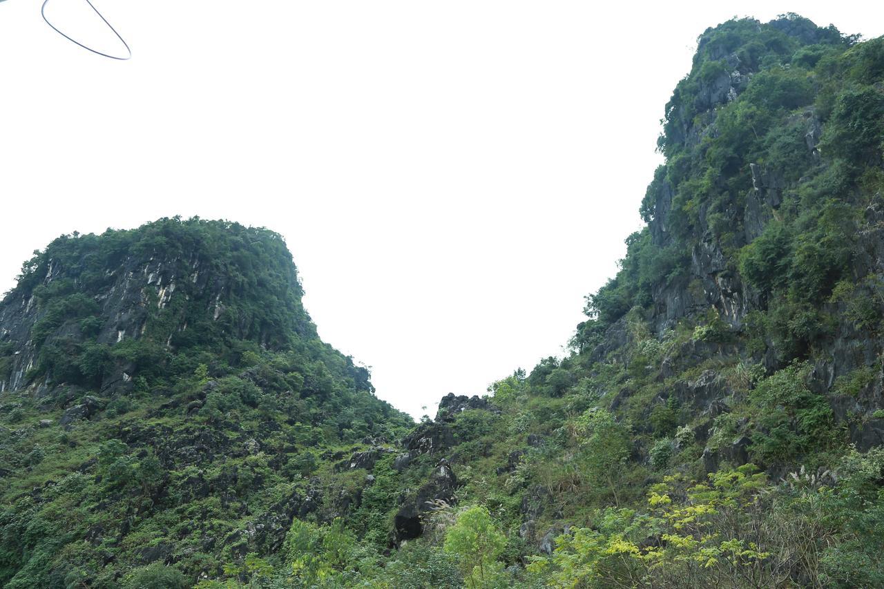 Gold Plus Hotel Phong Nha Bagian luar foto