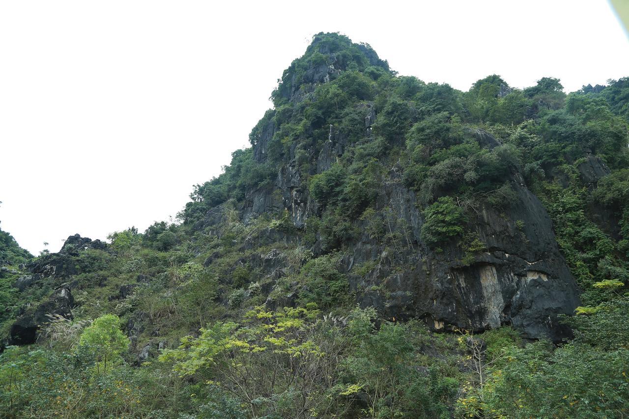 Gold Plus Hotel Phong Nha Bagian luar foto