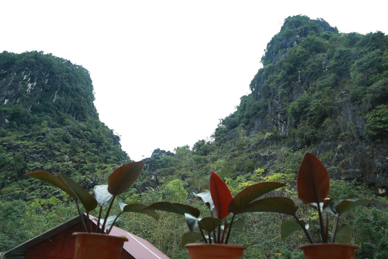 Gold Plus Hotel Phong Nha Bagian luar foto